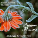 Autumn Flowers - Poster