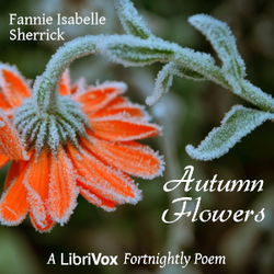 Autumn Flowers - Poster