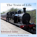 The Train of Life - Poster