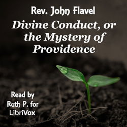Divine Conduct, or the Mystery of Providence - Poster