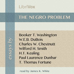 The Negro Problem - Poster