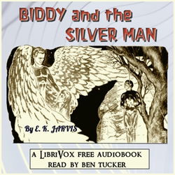 Biddy and the Silver Man - Poster