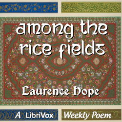 Among the Rice Fields - Poster
