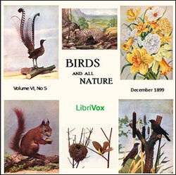 Birds and All Nature, Vol. VI, No 5, December 1899 - Poster Birds and All Nature, Vol. VI, No 5, December 1899 - Poster