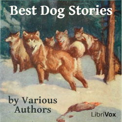 Best Dog Stories - Poster
