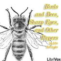 BIRDS AND BEES   SHARP EYES   AND OTHER PAPERS - Poster