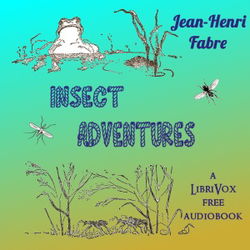 Insect Adventures - Poster