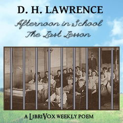 Afternoon in School - the last lesson - Poster