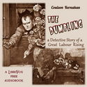 The Dumpling - Poster