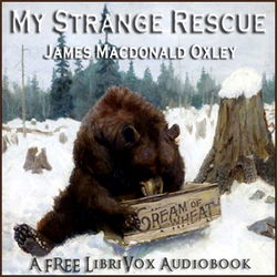 My Strange Rescue - Poster