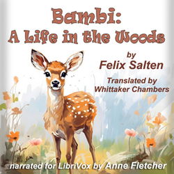 Bambi: A Life in the Woods - Poster