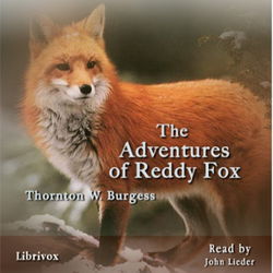 The Adventures of Reddy Fox - Poster
