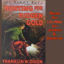 Hunting for Hidden Gold - Poster