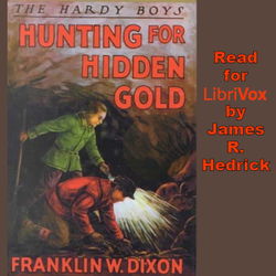Hunting for Hidden Gold - Poster