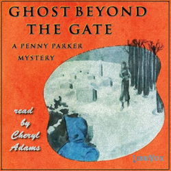 The Ghost Beyond the Gate - Poster