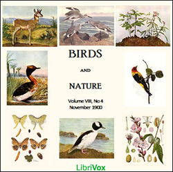 Birds and Nature, Vol. VIII, No 4, November 1900 - Poster