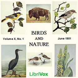 Birds and Nature, Vol. X, No 1, June 1901 - Poster