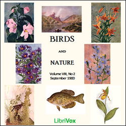 Birds and Nature, Vol. VIII, No 2, September 1900 - Poster