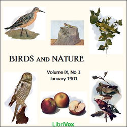 Birds and Nature, Vol. IX, No 1, January 1901 - Poster