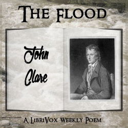 The Flood - Poster