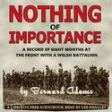 Nothing of Importance - Poster