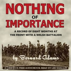 Nothing of Importance - Poster