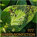 Short Nonfiction Collection, Vol. 077 - Poster