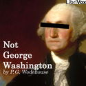 Not George Washington - Poster