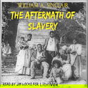 The Aftermath of Slavery - Poster