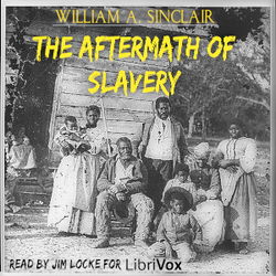 The Aftermath of Slavery - Poster