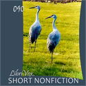 Short Nonfiction Collection, Vol. 090 - Poster