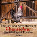 The Life and Adventures of Chanticleer, the intelligent Rooster. An interesting Story in Verse for Children - Poster