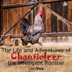 The Life and Adventures of Chanticleer, the intelligent Rooster. An interesting Story in Verse for Children - Poster