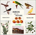 Birds and All Nature, Vol. VI, No 4, November 1899 - Poster