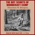 The Boy Scouts of Woodcraft Camp - Poster