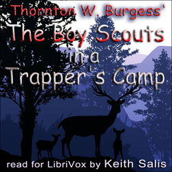 The Boy Scouts in a Trapper's Camp - Poster