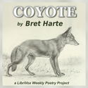Coyote - Poster