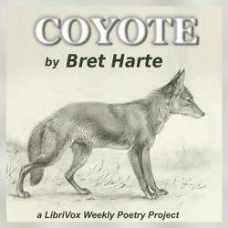 Coyote - Poster