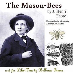 The Mason-Bees - Poster The Mason-Bees - Poster