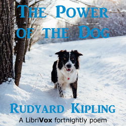 The Power of the Dog - Poster