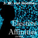 Elective Affinities - Poster