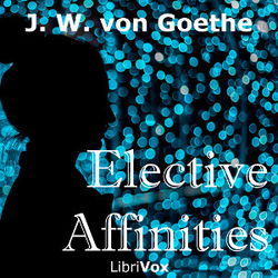 Elective Affinities - Poster Elective Affinities - Poster