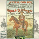 A Texas Cowboy; Or Fifteen Years on the Hurricane Deck of a Spanish Pony - Poster