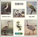 Birds, Vol. III, No 5, May 1898 - Poster