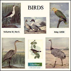 Birds, Vol. III, No 5, May 1898 - Poster