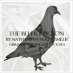 The Belfry Pigeon - Poster The Belfry Pigeon - Poster