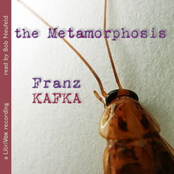 The Metamorphosis - Poster