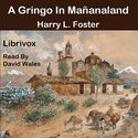 A Gringo In Mañana-Land - Poster