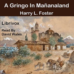 A Gringo In Mañana-Land - Poster