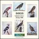 Birds, Vol. III, No 1, January 1898 - Poster